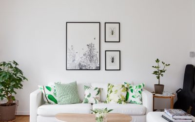 Los impresionantes beneficios de tener plantas en la casa